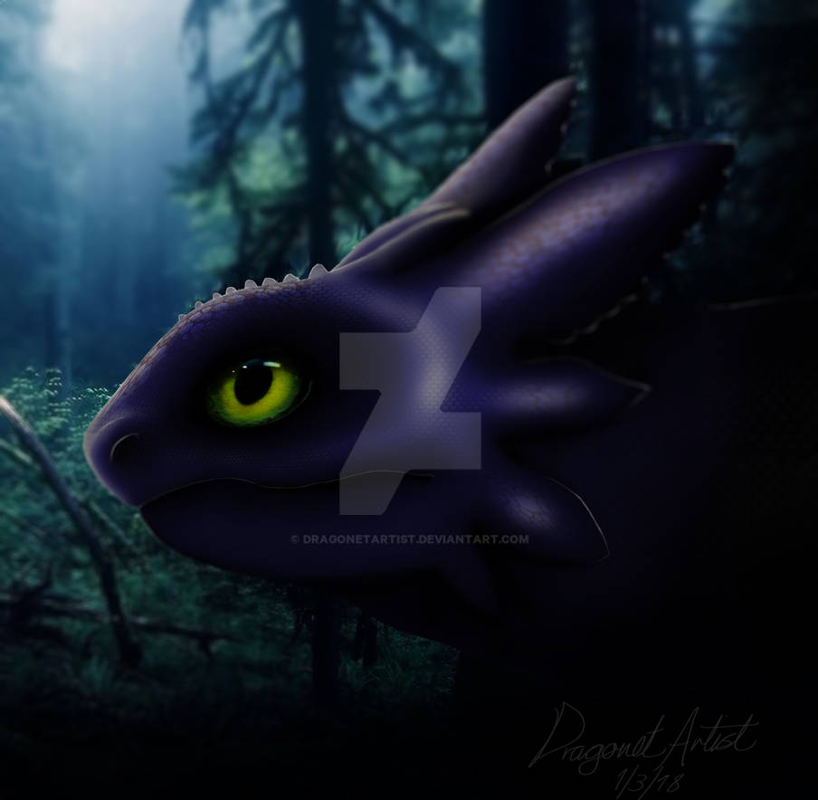 Toothless by DragonetArtist on DeviantArt
