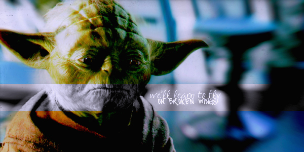 Yoda - On broken wings