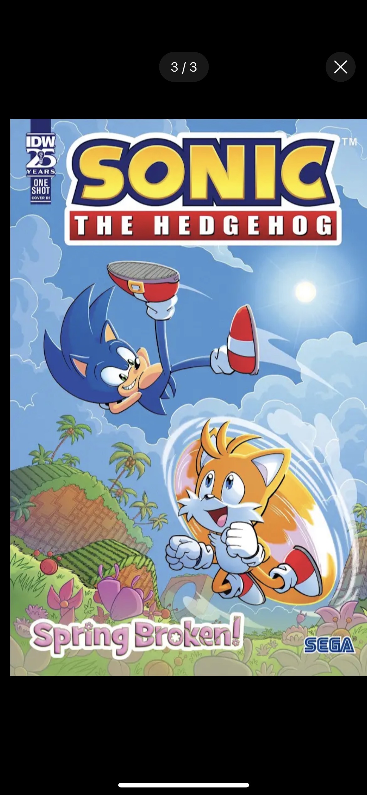 Sonic comics: Spring Broken title cover 3 by 0230137 on DeviantArt