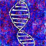 DEATH-NA DOUBLE HELIX - 003