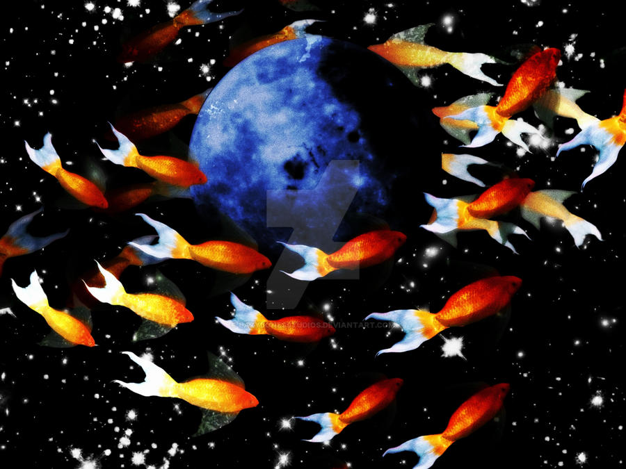 Rocket Goldfish SPACE GOLDFISH 012 by LazyBonesStudios on DeviantArt