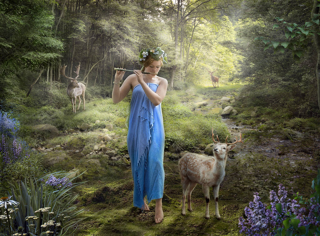 Charming melody by Watanska Charming melody by Watanska