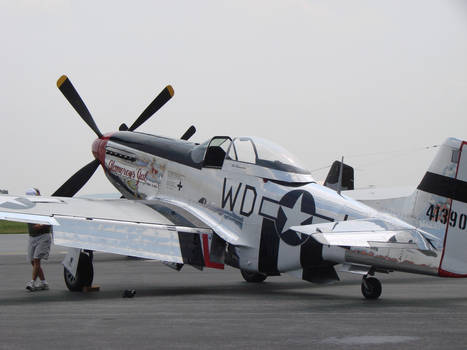 P 51 Mustang