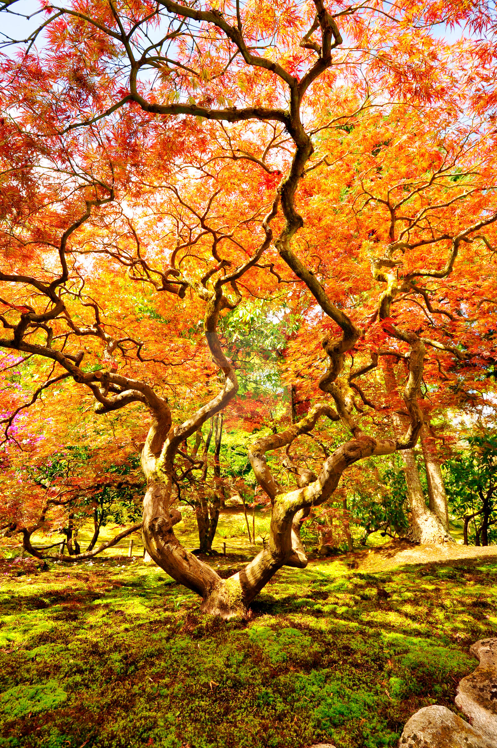 Changing Seasons by TimFranklin on DeviantArt
