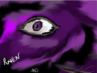 Raven The Wolf.jpg