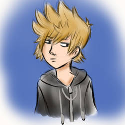 Roxas is not amused