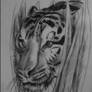 tiger in bushes tattoo