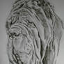 neapolitan mastiff portrait