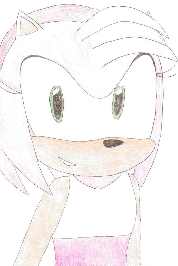 Amy Rose: Sonic Riders by AlyKatt98 on DeviantArt