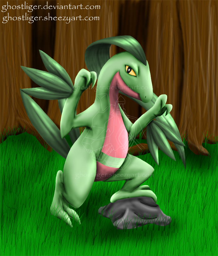 Grovyle