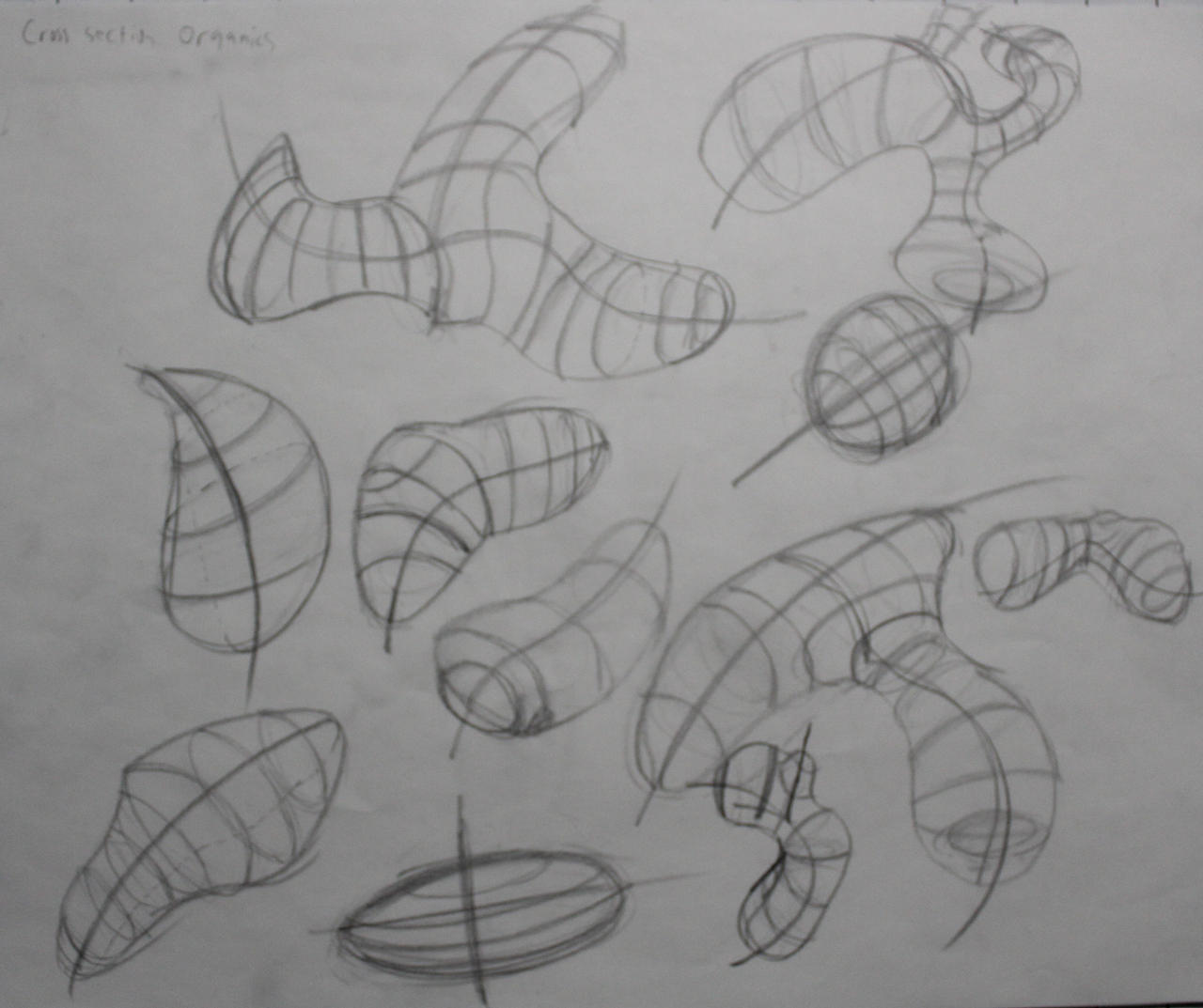 2/27/17 Organic Shapes w/ Cross section by Ryaltex on DeviantArt