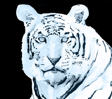 Digital Tiger