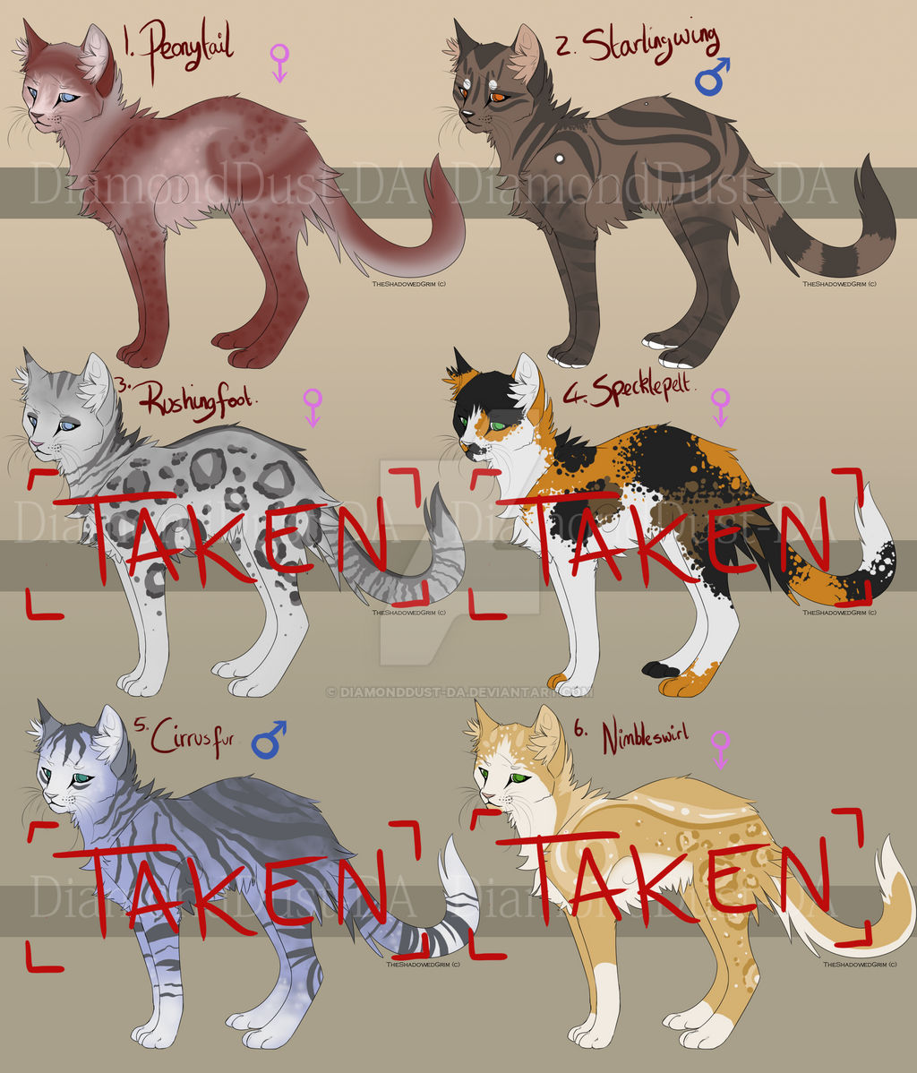 Warrior Cat Auctions #3: REDUCED SB's [2/6 OPEN]