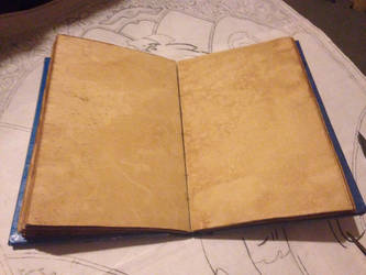 Inside the journal