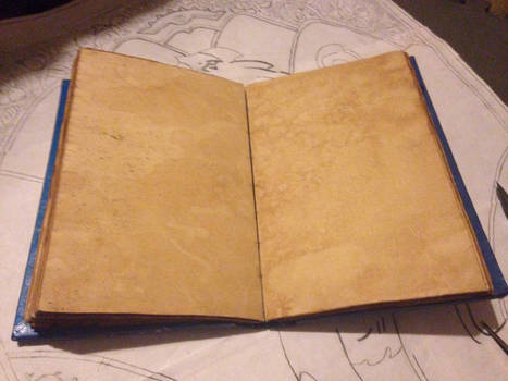 Inside the journal