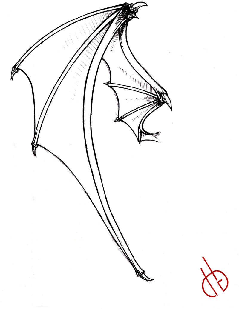 Deviantart Bat Winged Bat Wing by Di-Gon on DeviantArt