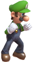 Super Luigi ready to fight