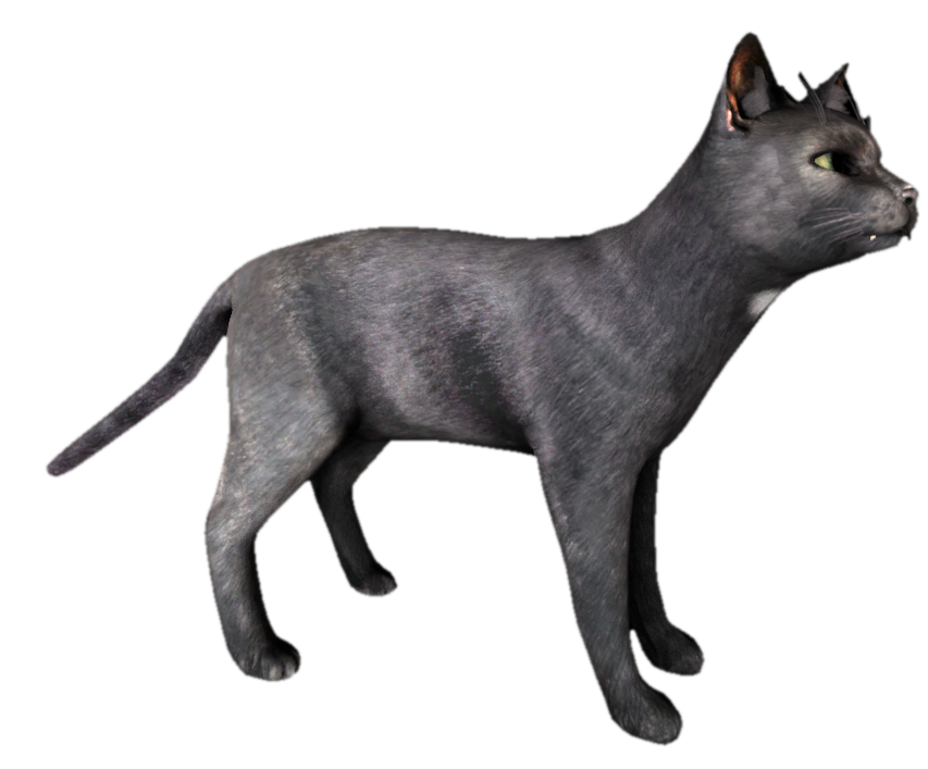 Black Cat standing by TransparentJiggly64 on DeviantArt