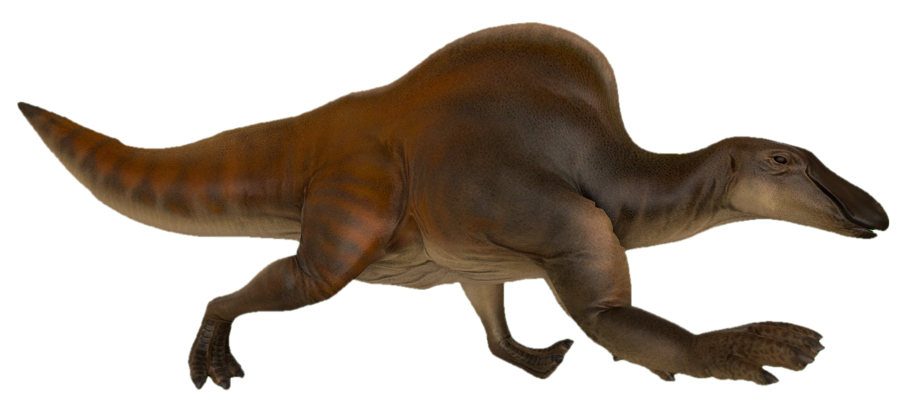 Ouranosaurus walking by TransparentJiggly64 on DeviantArt