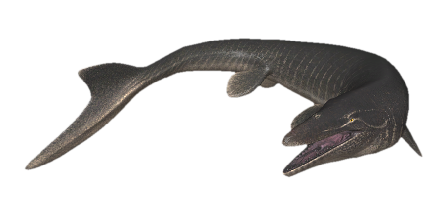 Transparent Mosaurus Mosasaurus turning around by TransparentJiggly64 on DeviantArt