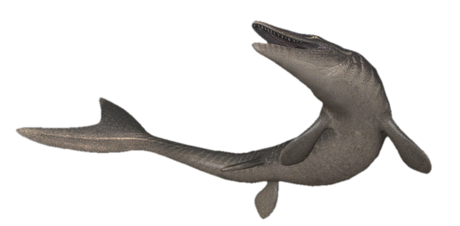 Transparent Mosaurus Mosasaurus turning around 2 by TransparentJiggly64 on DeviantArt
