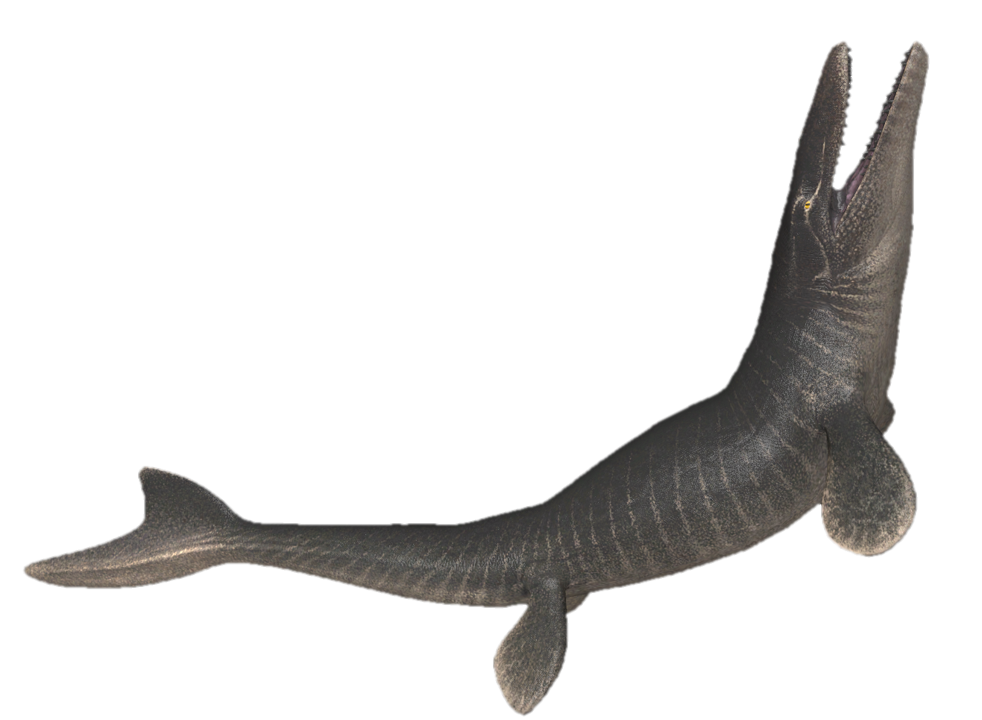 Transparent Mosaurus Mosasaurus swimming upwards by TransparentJiggly64 on DeviantArt