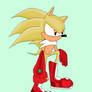 flash the hedgehog