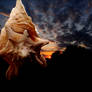 The Power of the Conch.