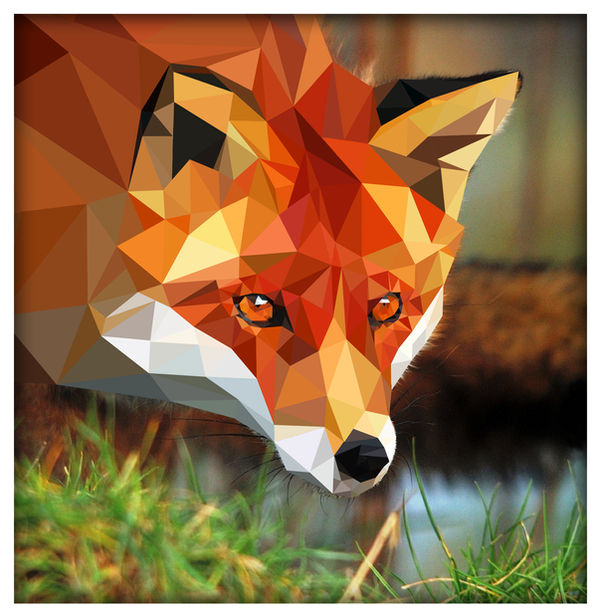 Triangle Fox by lubosh92 on DeviantArt