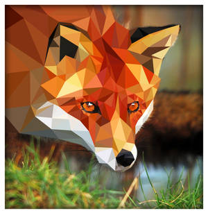Triangle Fox