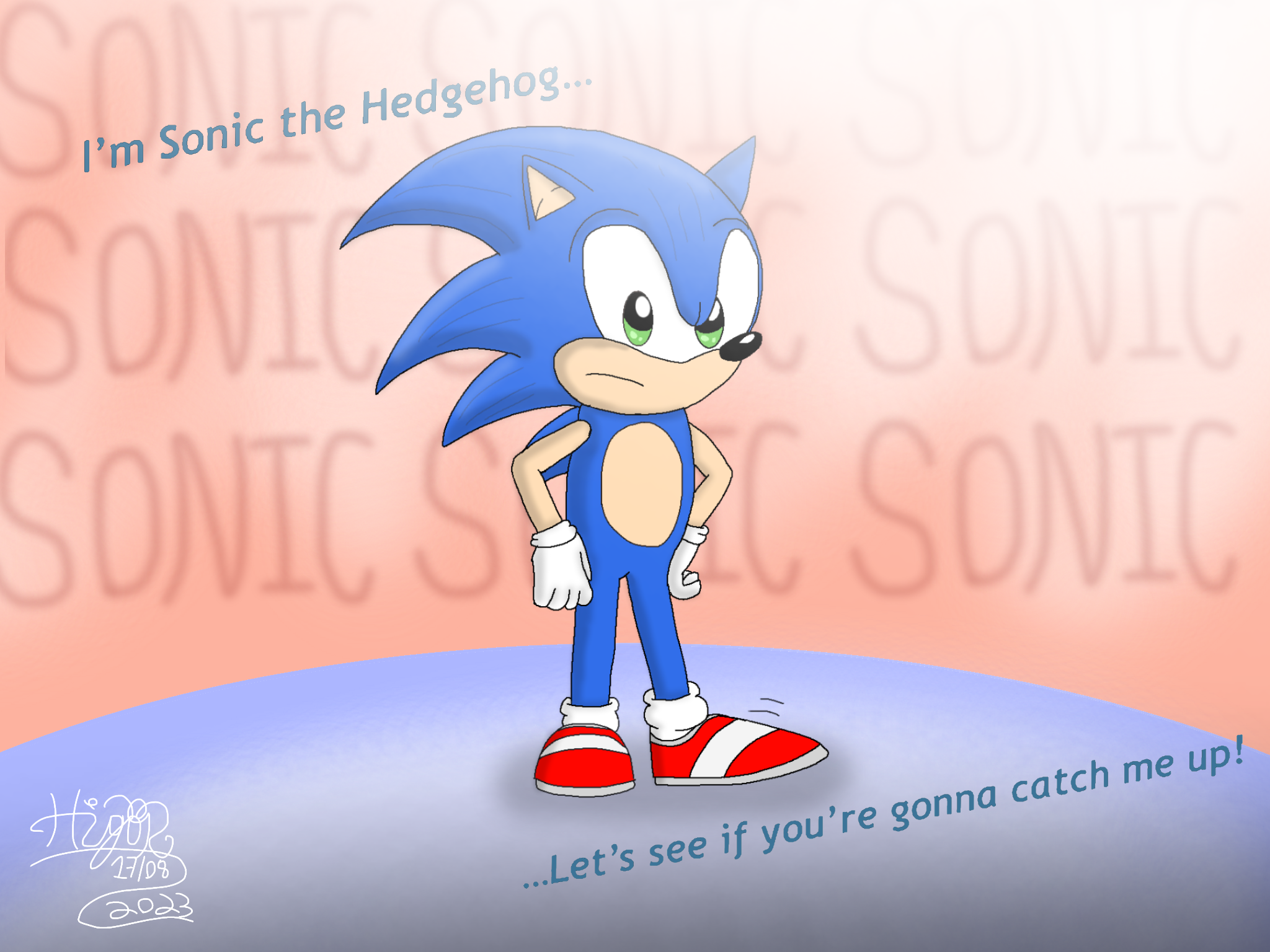 Sonic Movie gotta Go Fast It's My Birthday PNG 