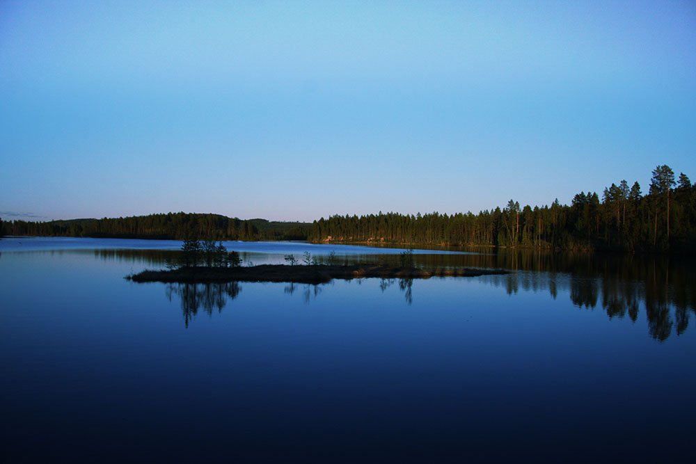 Blue magical night.