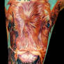 cow tatoo