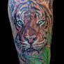 tiger leg piece