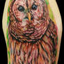 owl arm piece