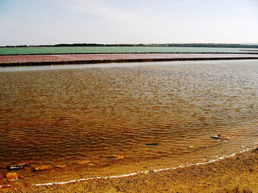 Formentera Salinas