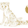 Cheetah kit.