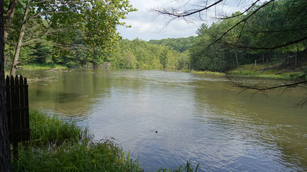 Mill Pond at The Ashokan Center 08/26/18