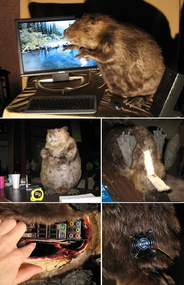 Beaver PC build by FireMarioFireLuigi61 on DeviantArt