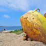 Cape Cod Bouy