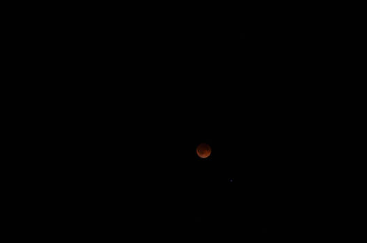 Blood Moon