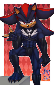 shadow the hedgehog in bondage gear