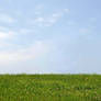 Grass and Sky Stock Photo-Premade background