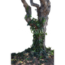 Tree stock Photo 0024 PNG