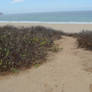 Beach Sand Dunes- Path and Ground Stock Photo 0179