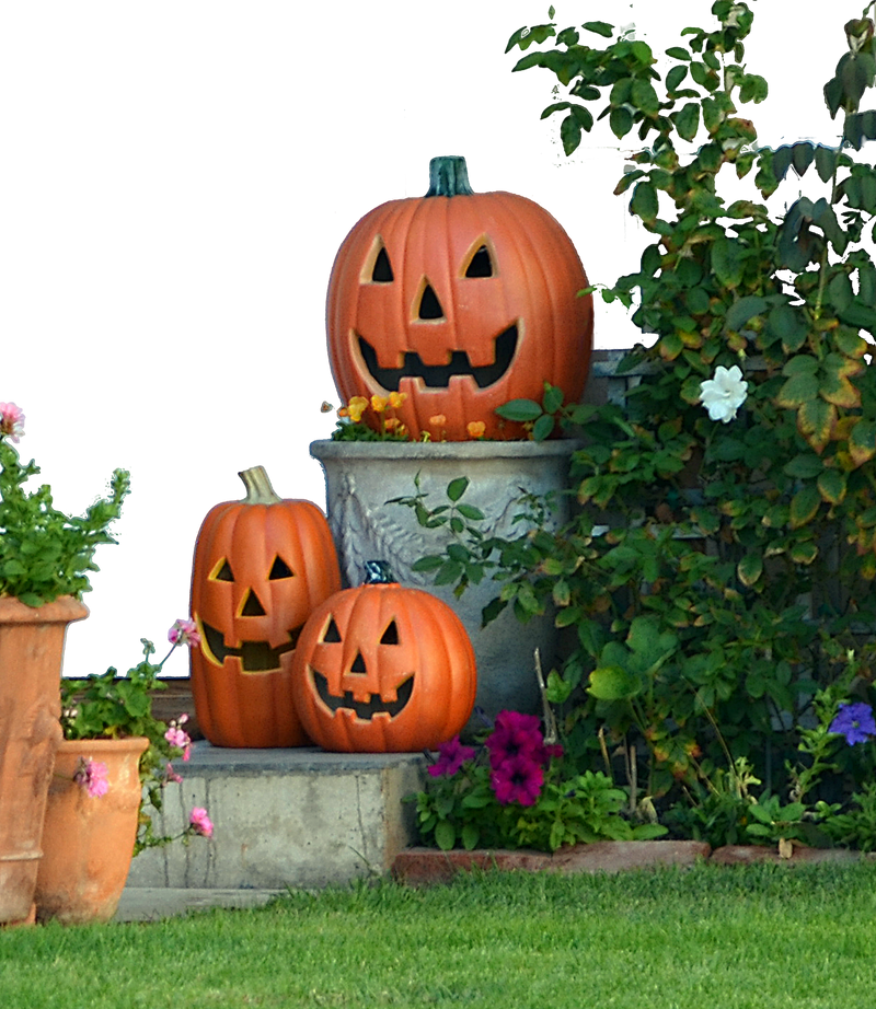 Halloween Pumkin Display Stock Photo DSC 0029 -PNG by annamae22 Halloween Pumkin Display Stock Photo DSC 0029 -PNG by annamae22