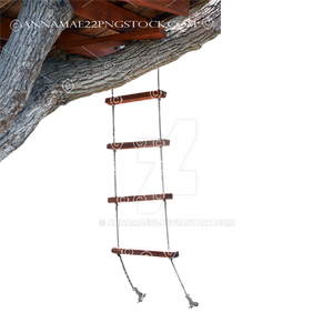 Tree House Rope Ladder Stock Photo 0721-PNG