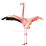 Pink Flamingo Wings Spread Stock Photo 0129 PNG