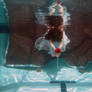 Female Underwater Figure Stock Photo DSCF0202
