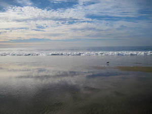 Beach Stock Photo IMG 8412 by annamae22 Beach Stock Photo IMG 8412 by annamae22